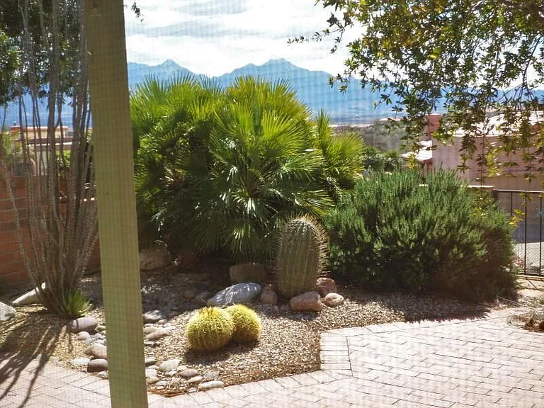 1597 W Calle Zuniga — Photo 11