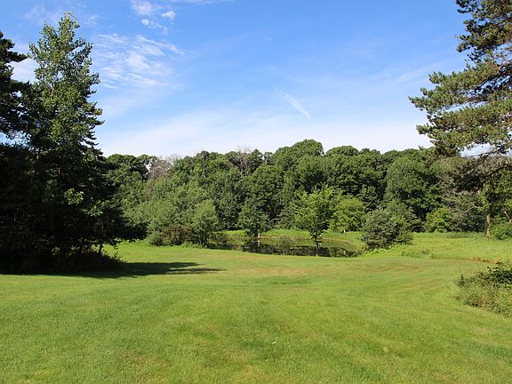 View of Backyard
