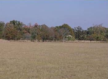 5th image of 440 County Road 2363