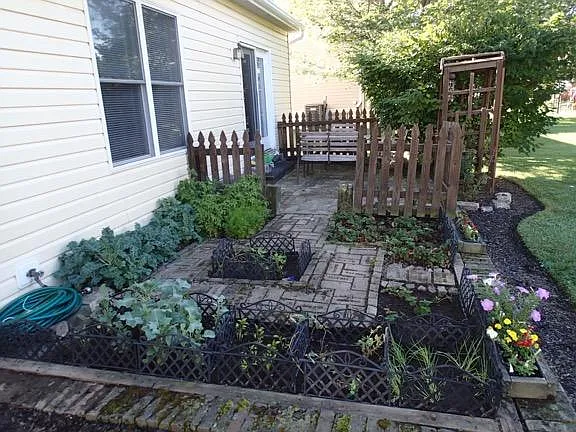 Backyard Patio