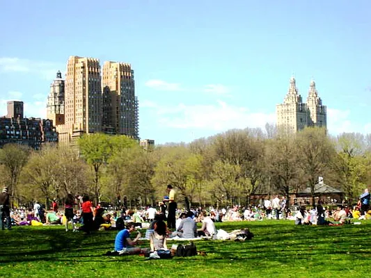 Rented by City Connections Realty | media 6