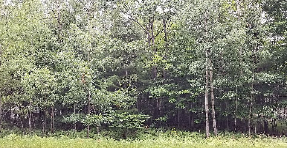 1st image of 4311 Hampshire Dr
