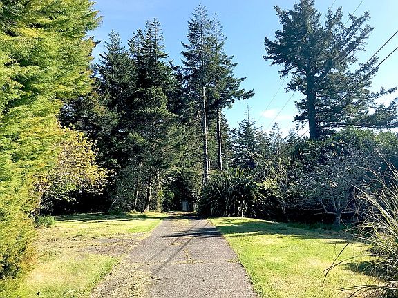 Driveway Up Through Orchard