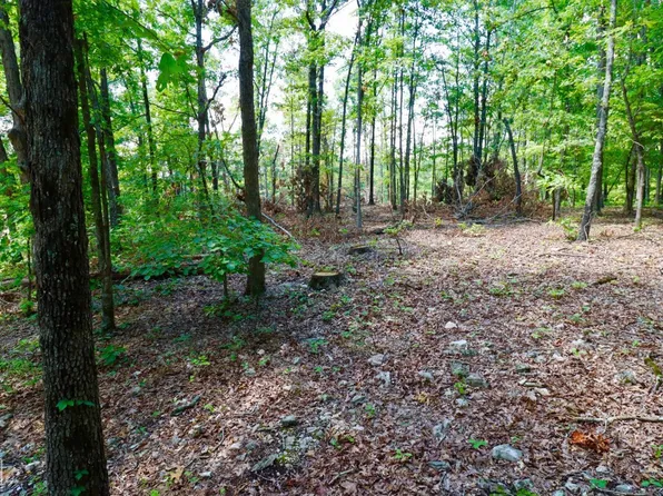 0 Creekside Trl #0, Mammoth Spring, AR 72554