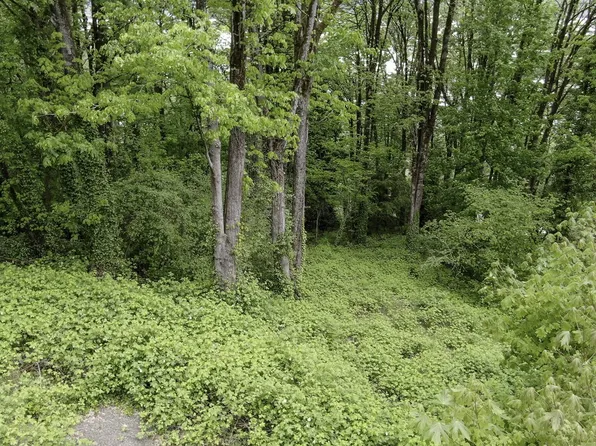 3481 NW Thurman St, Portland, OR 97210