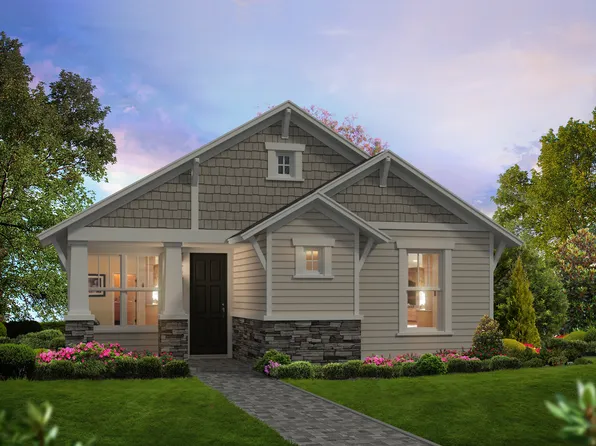 Lily Plan, Persimmon Park