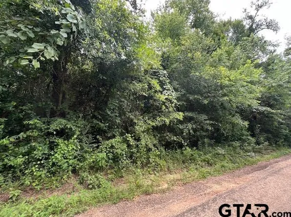 County Road 2318, Pittsburg, TX 75686