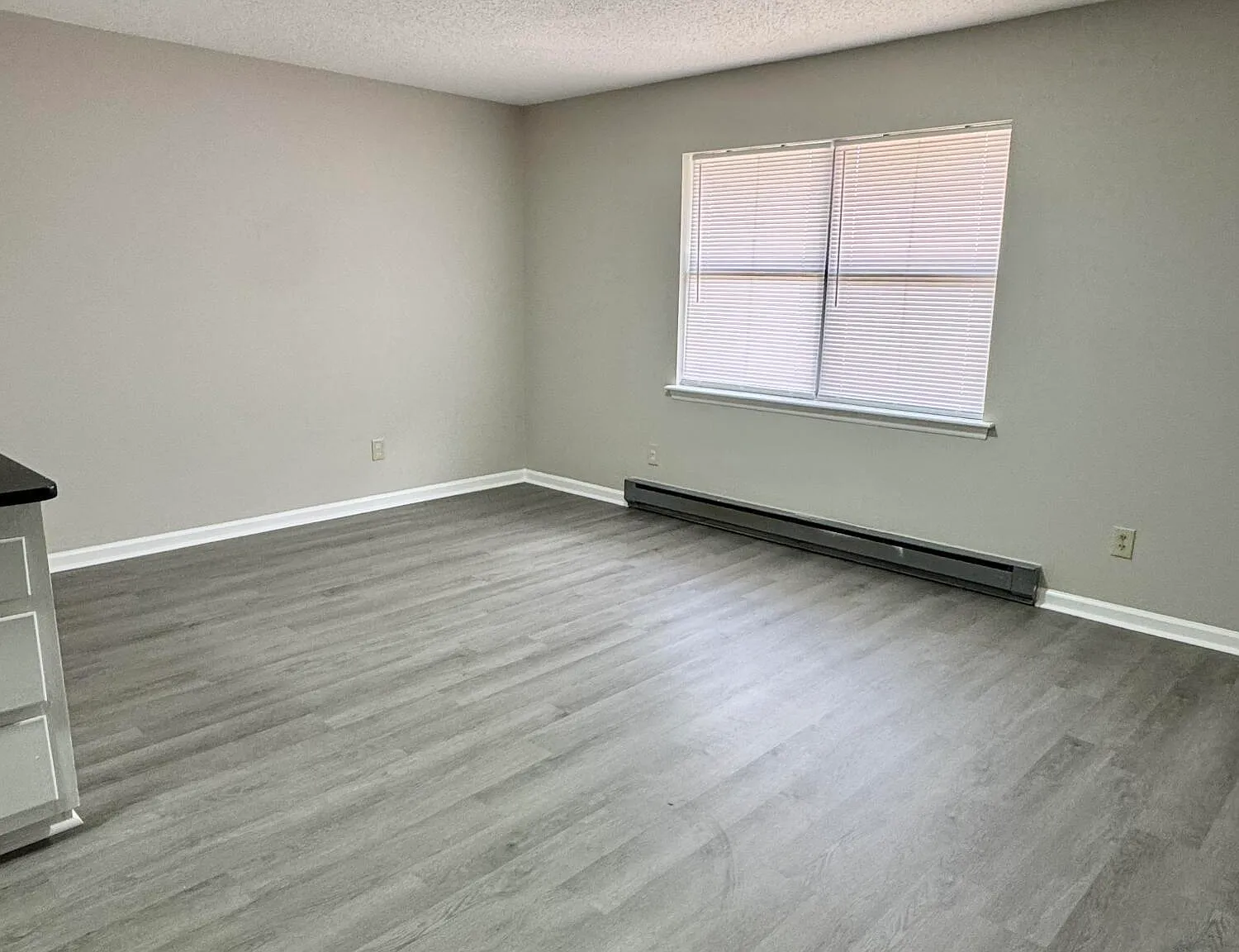 1 bed, 1.0 bath, $699 — Photo 3