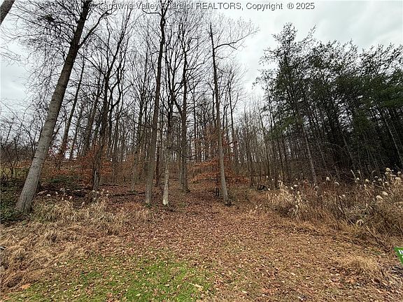 2nd image of 25 Pinson Dr