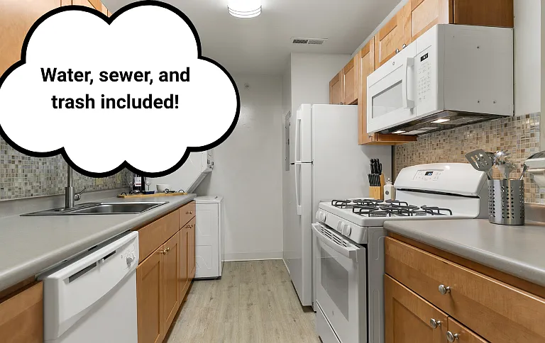 Contemporary Kitchen Style with Luxury Vinyl Plank Flooring