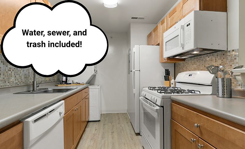 Contemporary Kitchen Style with Luxury Vinyl Plank Flooring