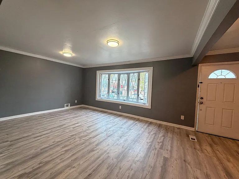 163-71 Mathias Ave #1 — Photo 10