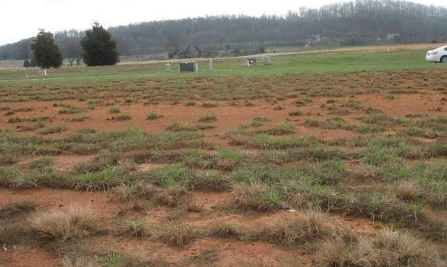 2nd image of 2989 Old Club Rd