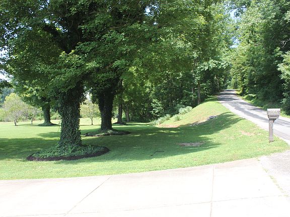 Front Yard on Quiet Street
