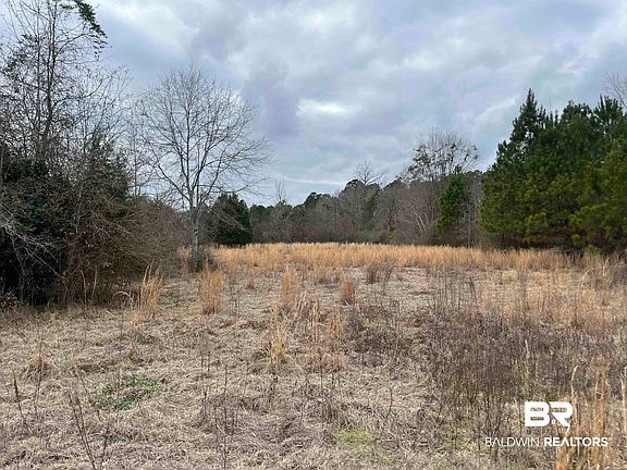 4th image of 4967 Kirkland Rd