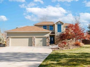 2231 Hill Street, Montrose, CO 81401