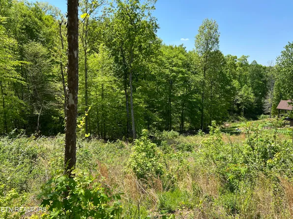 LOT 33 Timber Creek Rd, Maynardville, TN 37807