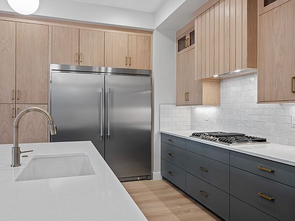 Built in Stove and Fridge