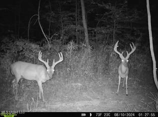 6510 Coxs Ferry Rd, Bolton, MS 39041