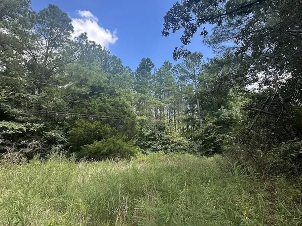 0 Ewell Rd, Moscow, TN 38057