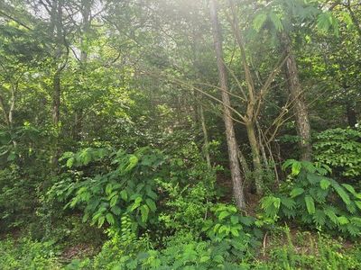 3312 Ridgeway Dr NW, Cleveland, TN, 37312