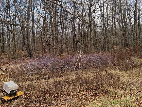 3rd image of 3580 County Road 75