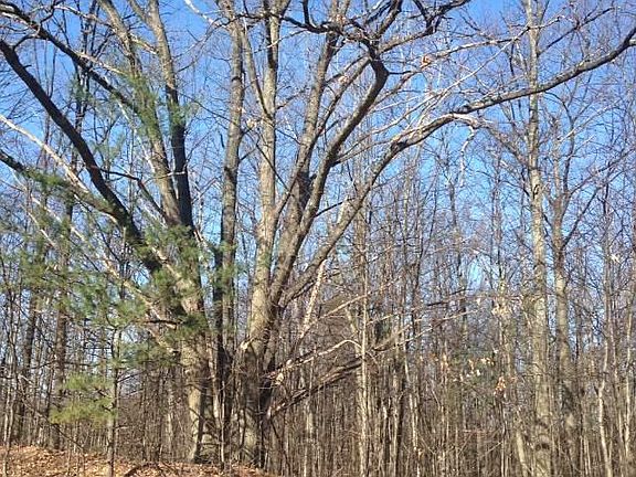 2nd image of Seven Hills Rd