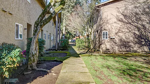 Spacious and immaculate townhomes! Photo 1