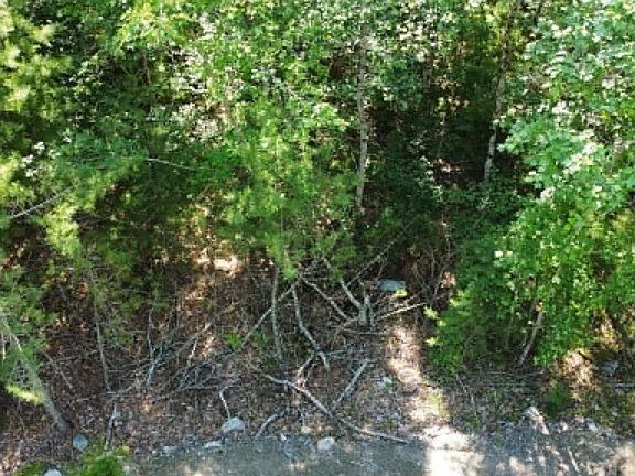 3rd image of LOT 13 Jordan Branch Rd