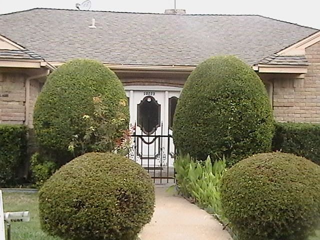 Front View