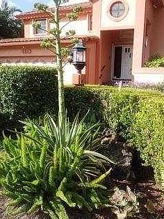 4th image of 6811 Falconsgate Ave