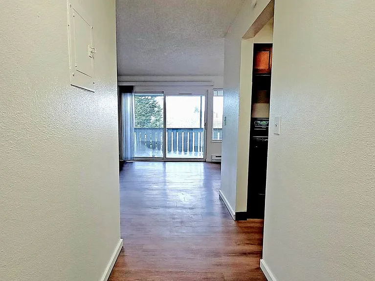 Sun Vista — Photo 4