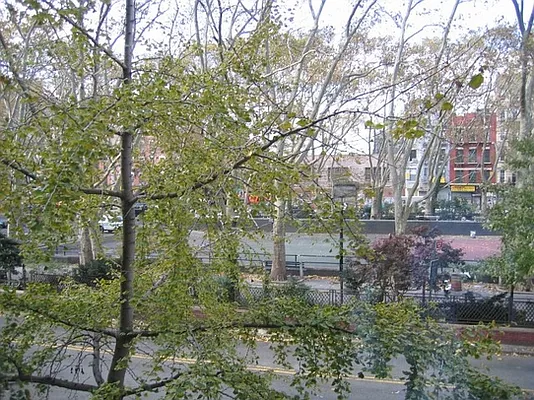 Sold by Stribling | media 12