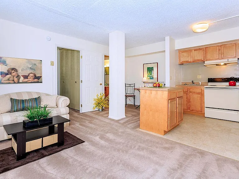 North Wood Apartments — Photo 13