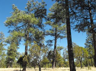 2932 Coyote Rdg, Happy Jack, AZ 86024