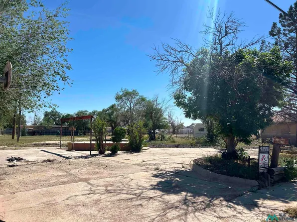 1411 E Dunnam St, Hobbs, NM 88240