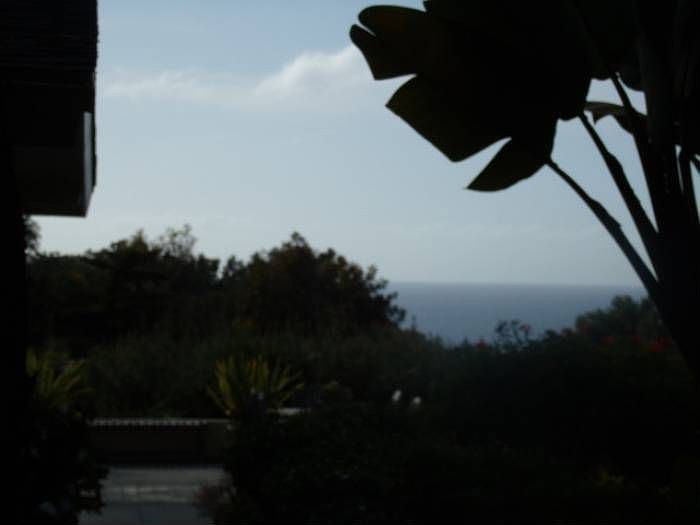 1634 Forest Way, Del Mar, CA 92014 Zillow