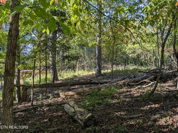 0 Cherokee Cir, Ten Mile, TN 37880