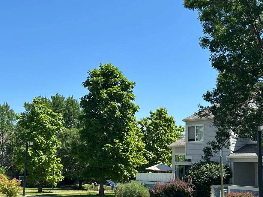 1419 Red Mountain Dr — Photo 2