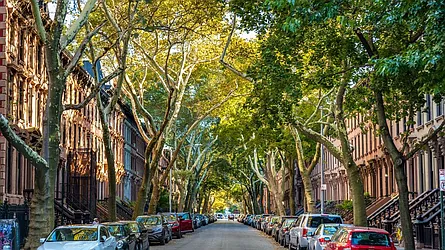 Rented by Forest City Ratner Companies