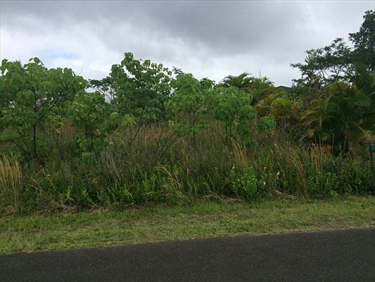2nd image of Moaniala St