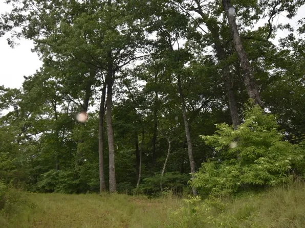 LOT 36 Silo Vw, Marble, NC 28905