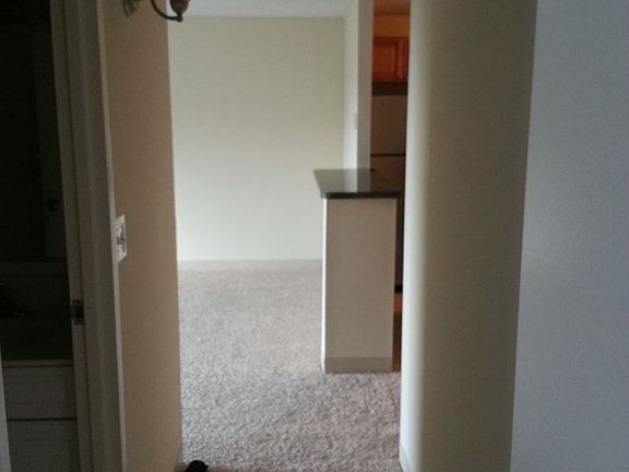 2nd image of 1027R Southern Artery #101