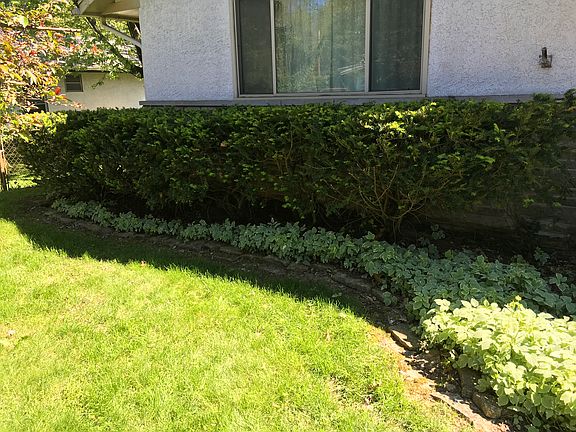 2nd image of 671 Latham Ct