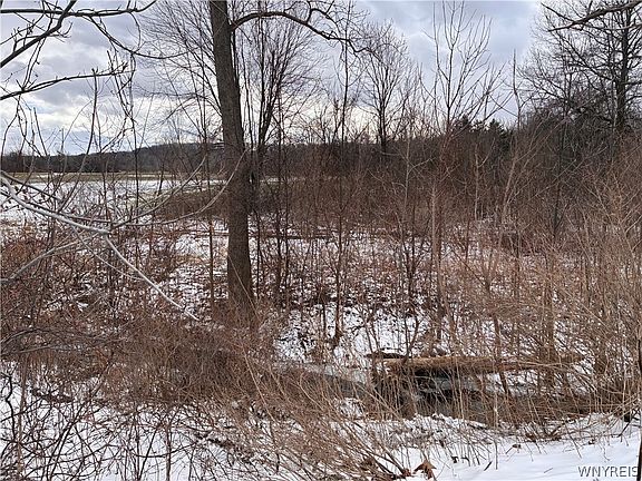 5th image of Ridge Rd Lot 12