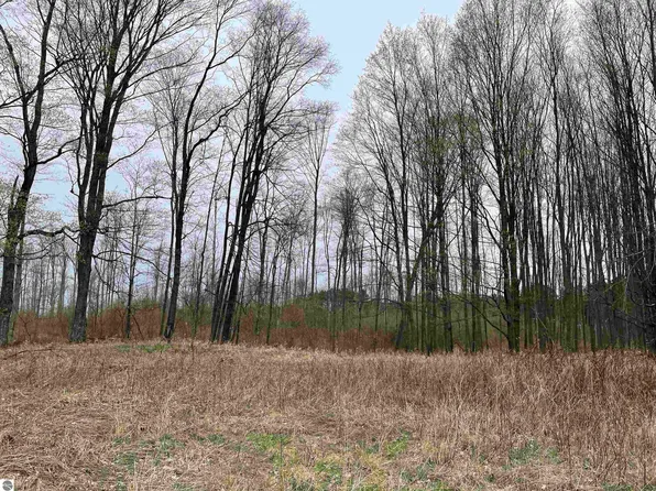 Summit City Rd Lot K, Kingsley, MI 49649