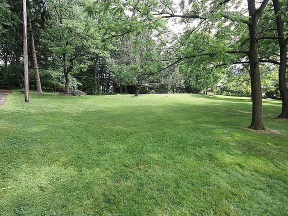 Large yard