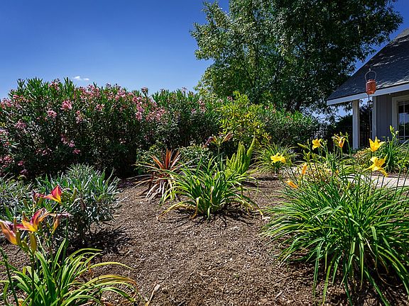 Drought tolerant front yard