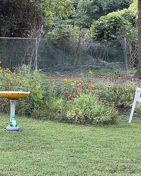 Wildflower garden