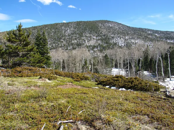 Cuchara Mountain Park Ests Lot 6, La Veta, CO 81055